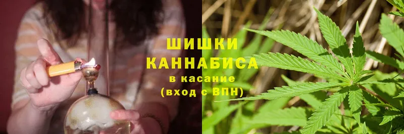 купить наркотики сайты  Лесосибирск  Бошки марихуана OG Kush 